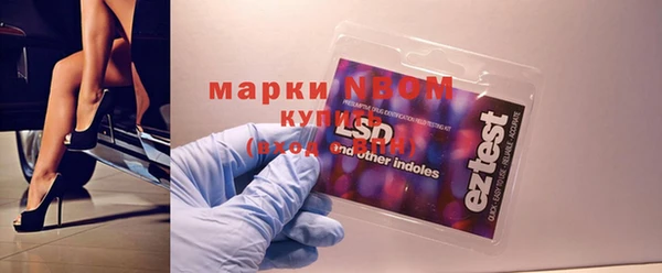 мдпв Михайлов