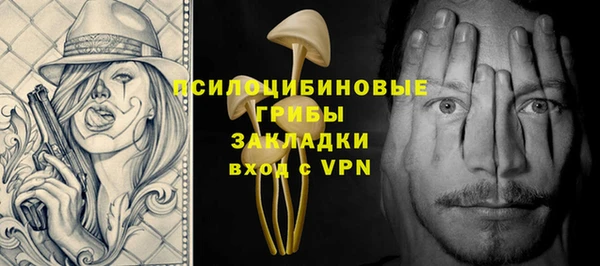 герыч Алексин