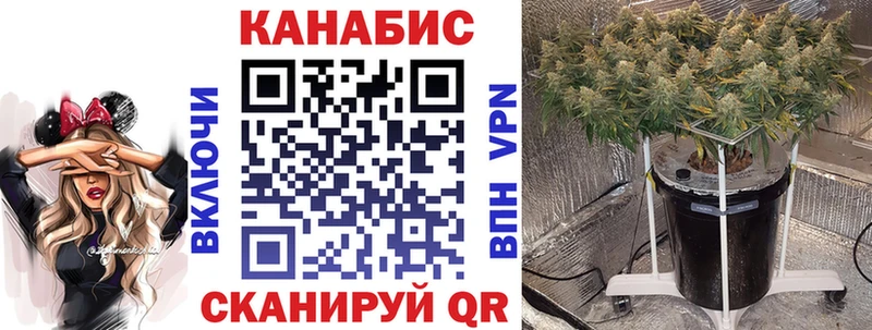 МАРИХУАНА планчик  Усть-Лабинск 